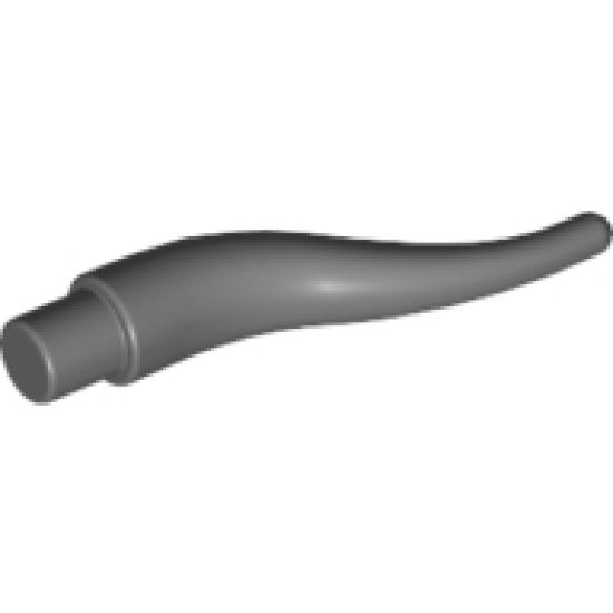 Animal, Body Part Cattle Horn, Long
