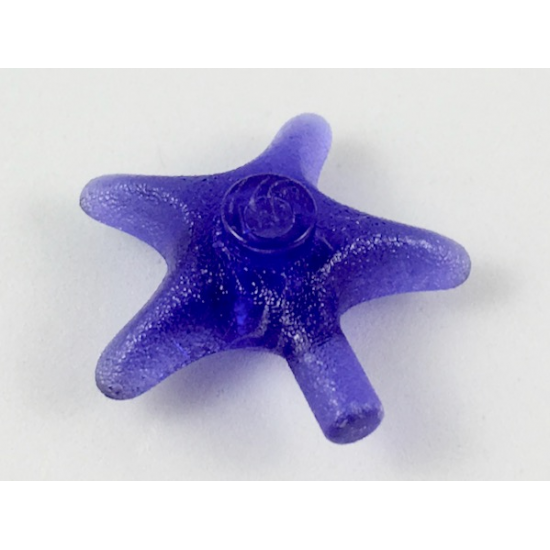 Starfish / Sea Star