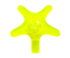 Starfish / Sea Star
