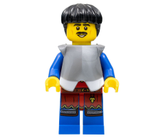 Lion Knight - Male, Black Hair, Flat Silver Armor
