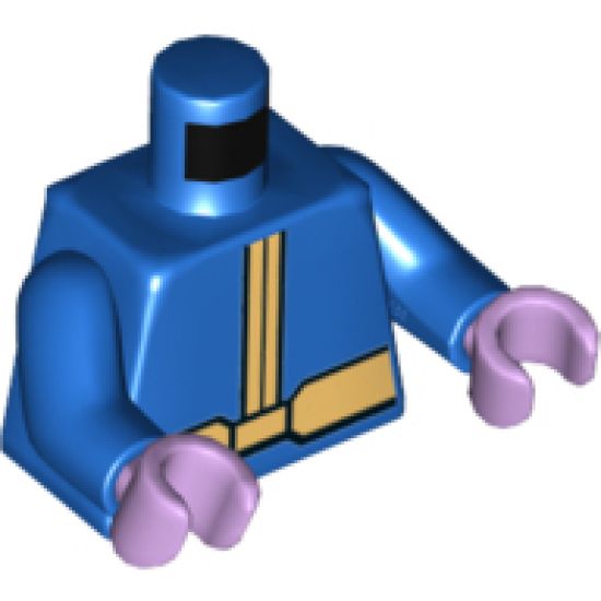 Torso Coat with Gold Center Seam and Wide Gold Belt Pattern / Blue Arms / Lavender Hands