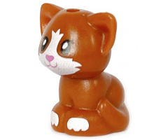 Cat, Friends, Baby Kitten, Sitting with Black Eyes, Dark Pink Nose and Mouth, and White Muzzle and Paws Pattern