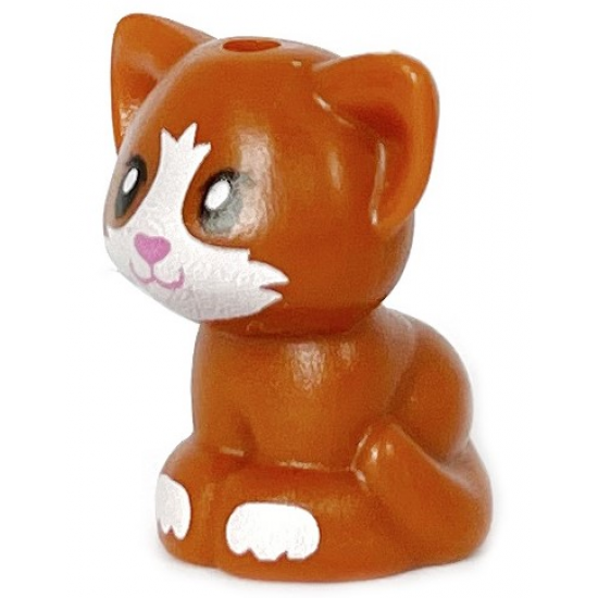 Cat, Friends, Baby Kitten, Sitting with Black Eyes, Dark Pink Nose and Mouth, and White Muzzle and Paws Pattern