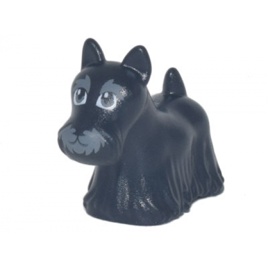 Dog, Terrier Scottish (Scottie) with Dark Bluish Gray Eyes, Eyebrows, and Muzzle Pattern