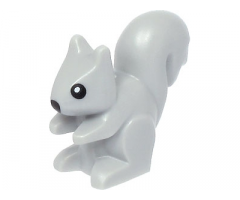 Squirrel with Black Eyes, White Pupils, and Black Nose Pattern