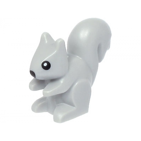 Squirrel with Black Eyes, White Pupils, and Black Nose Pattern