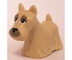 Dog, Terrier Scottish (Scottie) with Dark Tan Eyes, Eyebrows, and Muzzle Pattern