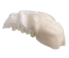 Bionicle Rahkshi Kraata Stage 1 (list head color, describe the rest)