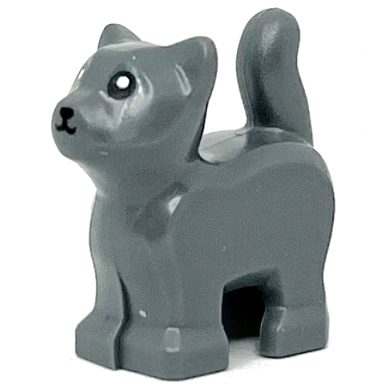 Cat, Baby Kitten, Standing with Black Mouth, Nose, and Eyes with Pupils Pattern