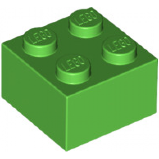 Brick 2 x 2