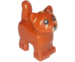 Cat, Baby Kitten, Standing with Tan Muzzle and Black Mouth, Nose, and Eyes with Pupils Pattern