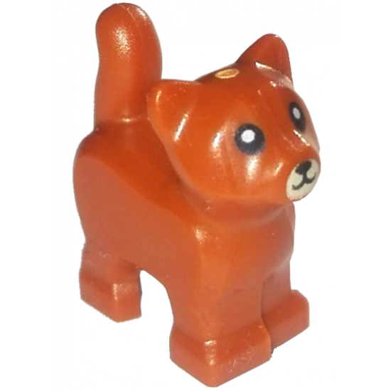 Cat, Baby Kitten, Standing with Tan Muzzle and Black Mouth, Nose, and Eyes with Pupils Pattern