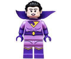 Wonder Twin Jayna, The LEGO Batman Movie, Series 2 (Minifigure Only without Stand and Accessories)