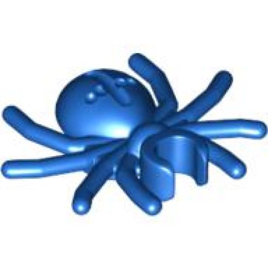 Spider with Round Abdomen and Clip