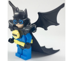 Nightwing - Wings and Cape