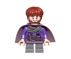 Ori the Dwarf