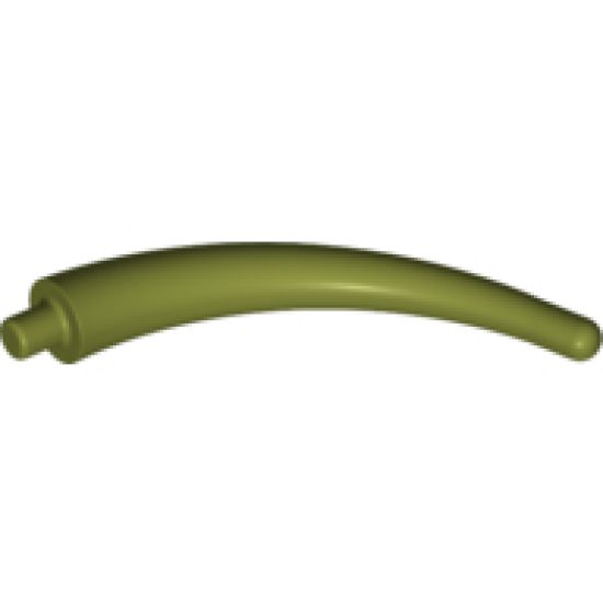 Animal, Body Part Dinosaur Tail End Section / Horn