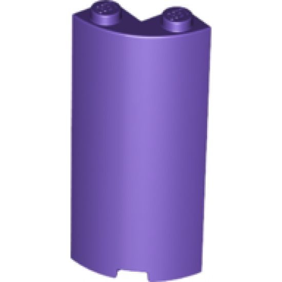 Cylinder Quarter 2 x 2 x 5 with 1 x 1 Cutout