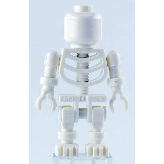 Skeleton with Blank Face