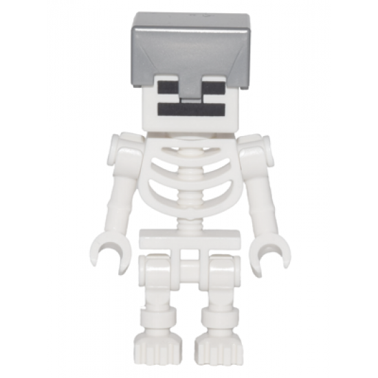 Skeleton with Cube Skull - Flat Silver Helmet