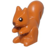 Squirrel with Black Eyes, White Pupils, and Reddish Brown Nose Pattern