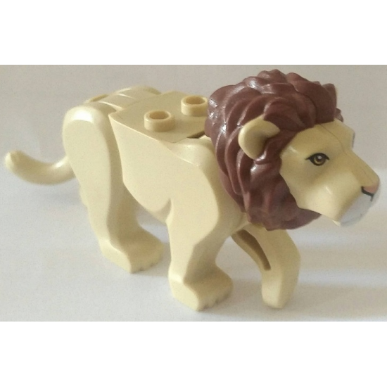 Cat, Large (Lion) with Reddish Brown Mane, Nougat Eyes, Nougat Nose and White Muzzle Pattern