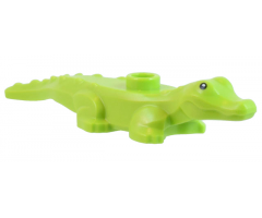 Alligator / Crocodile Baby Hatchling with Black Eyes and White Pupils Pattern