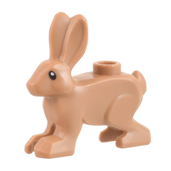 Hare, Standing with Black Eyes and White Pupils Pattern