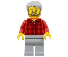 Male, Light Bluish Gray Hair, Dark Bluish Gray Beard, Red Flannel Shirt, Light Bluish Gray Legs