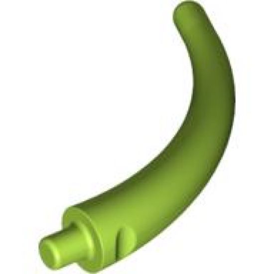 Animal, Body Part Dinosaur Tail End Section / Horn