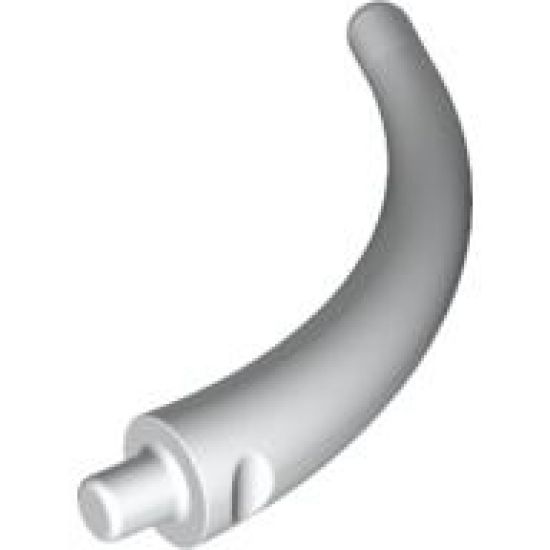 Animal, Body Part Dinosaur Tail End Section / Horn