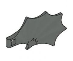 Animal, Body Part Dragon Wing