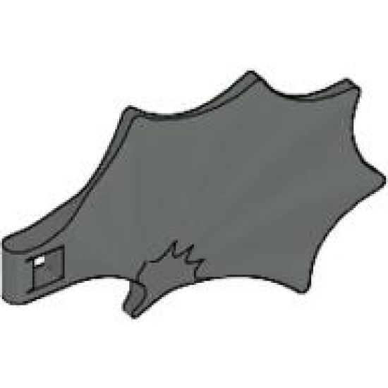 Animal, Body Part Dragon Wing