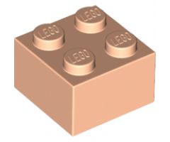 Brick 2 x 2