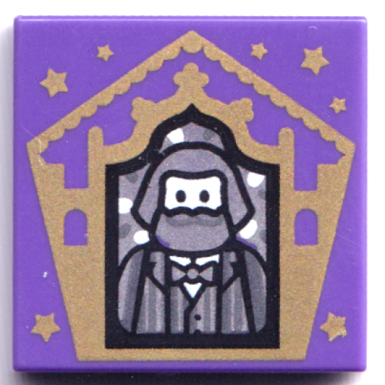 Tile 2 x 2 with HP Chocolate Frog Card Bertie Bott Pattern