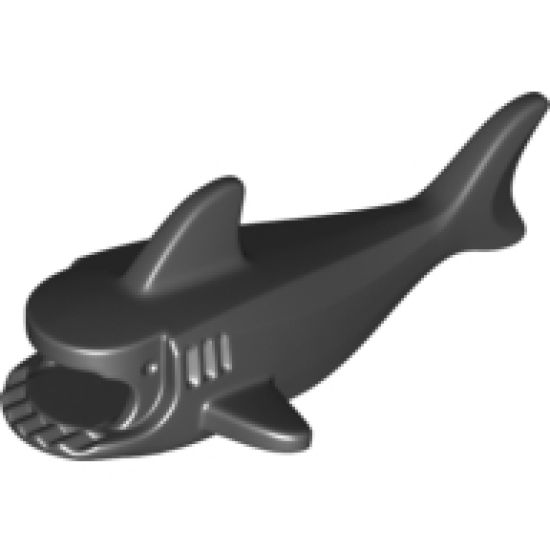 Animal, Body Part Shark Middle with Gills