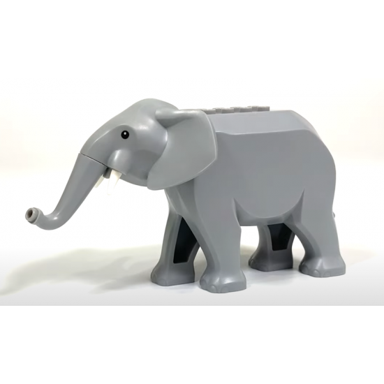 Elephant Type 2 with Short White Tusks