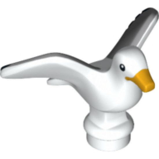 Animal, Air Bird Seagull with Bright Light Orange Beak and Black and Light Bluish Gray Wings Pattern