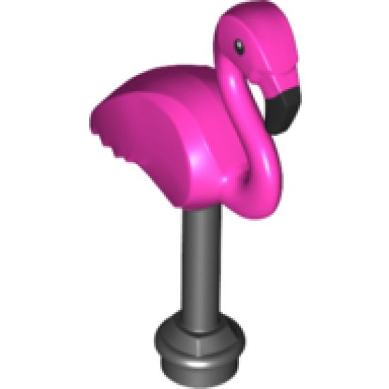 Animal, Air Bird Flamingo with Dark Pink Body Pattern