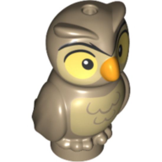 Animal, Air Owl, Elves with Bright Light Orange Beak, Tan Face and Chest Pattern