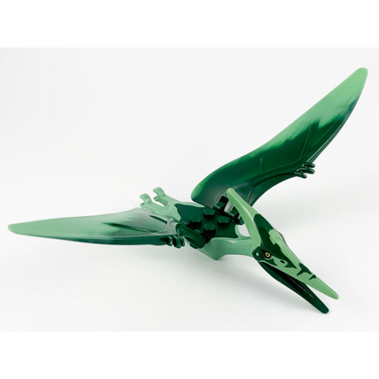 Animal, Dinosaur Pteranodon with Dark Green Back and Forehead