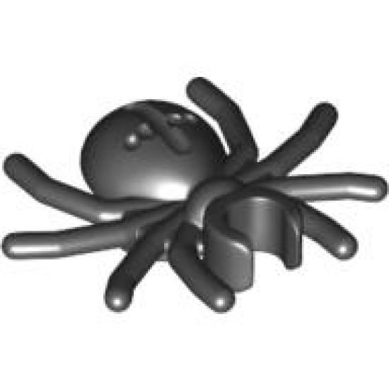 Spider with Round Abdomen and Clip