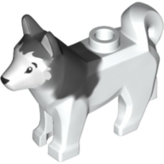 Dog, Husky with Black Eyes, Black Nose and Marbled Dark Bluish Gray Ears and Back Pattern