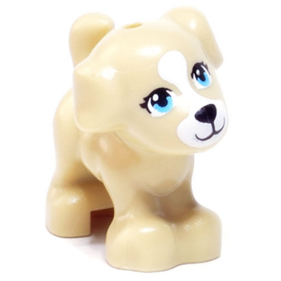 Dog, Friends, Puppy, Standing with Medium Azure Eyes without Outline, Black Nose and Mouth, White Blaze and Muzzle Pattern