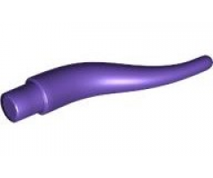 Animal, Body Part Cattle Horn, Long