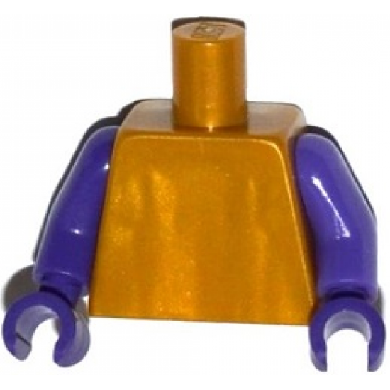 Torso Plain / Dark Purple Arms / Dark Purple Hands
