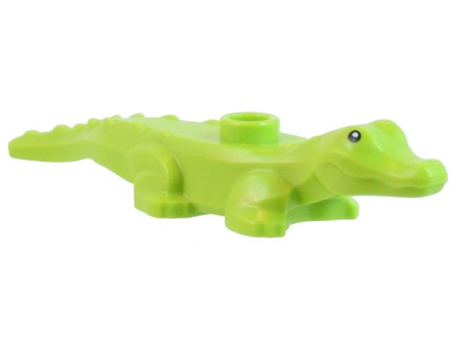 Alligator / Crocodile Baby Hatchling with Black Eyes and White Pupils Pattern