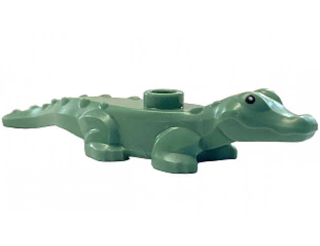 Alligator / Crocodile Baby Hatchling with Black Eyes and White Pupils Pattern