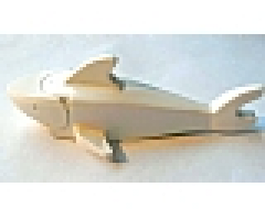 Shark with Rounded Nose