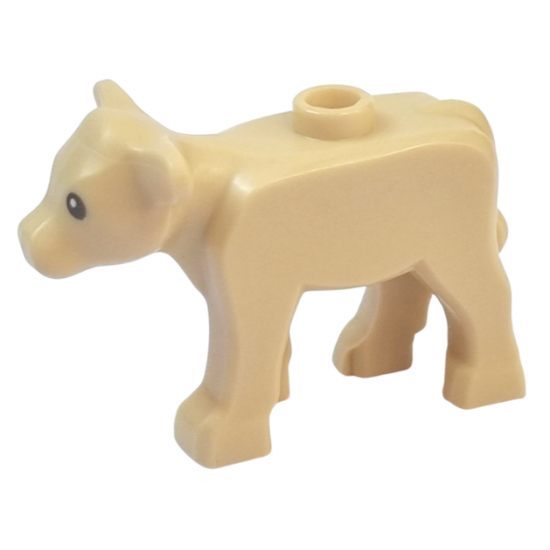 Calf with Black Eyes and White Pupils Pattern